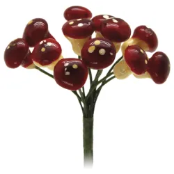 144 champiñones pequeños