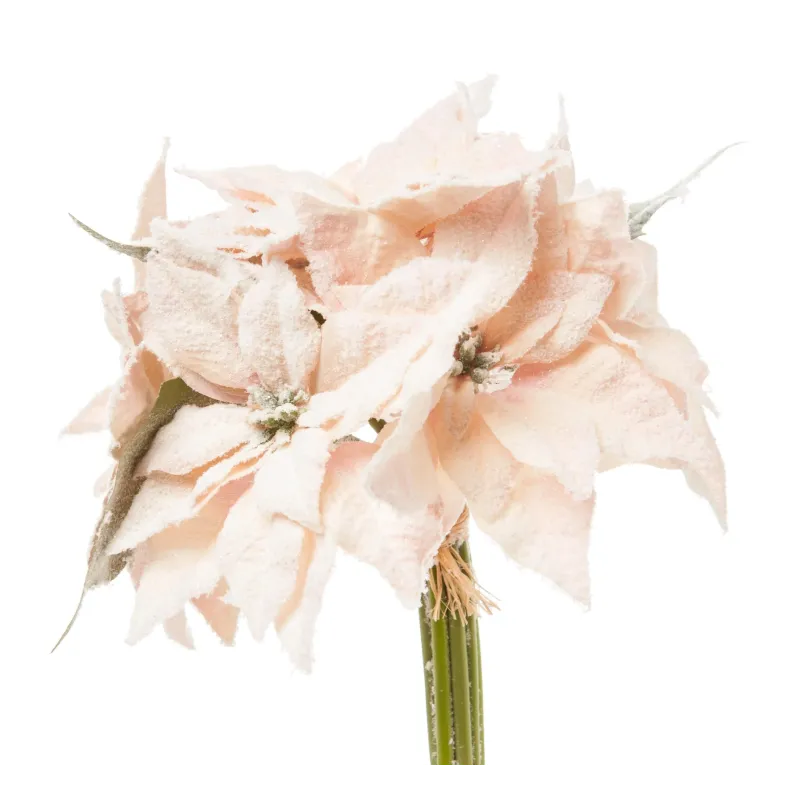 Bouquet of Poinsettias cm 25 pcs.7 Powder pink