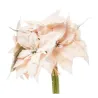 Mazzo Stelle di Natale cm 25 pz.7 Rosa cipria