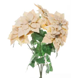 Bush Beige snowy poinsettias