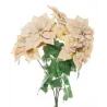 Bush Beige poinsettias enneigés