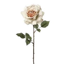 Ρόζα Μαντόνα