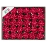 Matt Stars mm 10 pcs.100