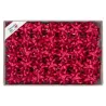 Stelle 6811 mm 14 pz.100 Rosse