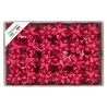 Stars 6811 mm 19 pcs.70 Red
