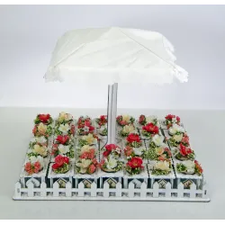 Parasollset med 34 trälådor och blommor