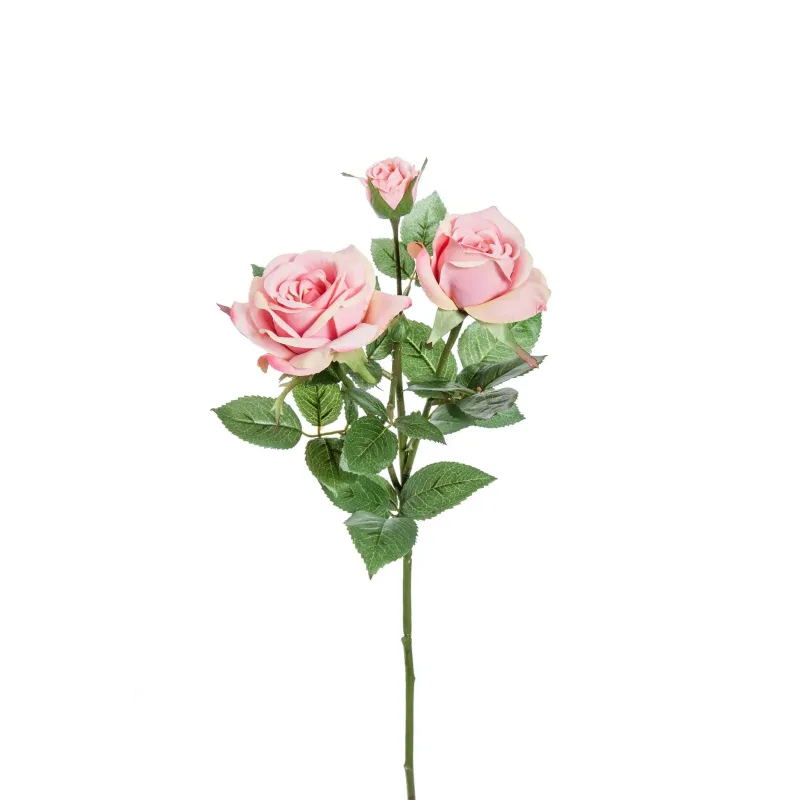 Hamilton Roze 3 Roze Bloemen