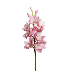 Orchid 8 flowers and 3 buds white