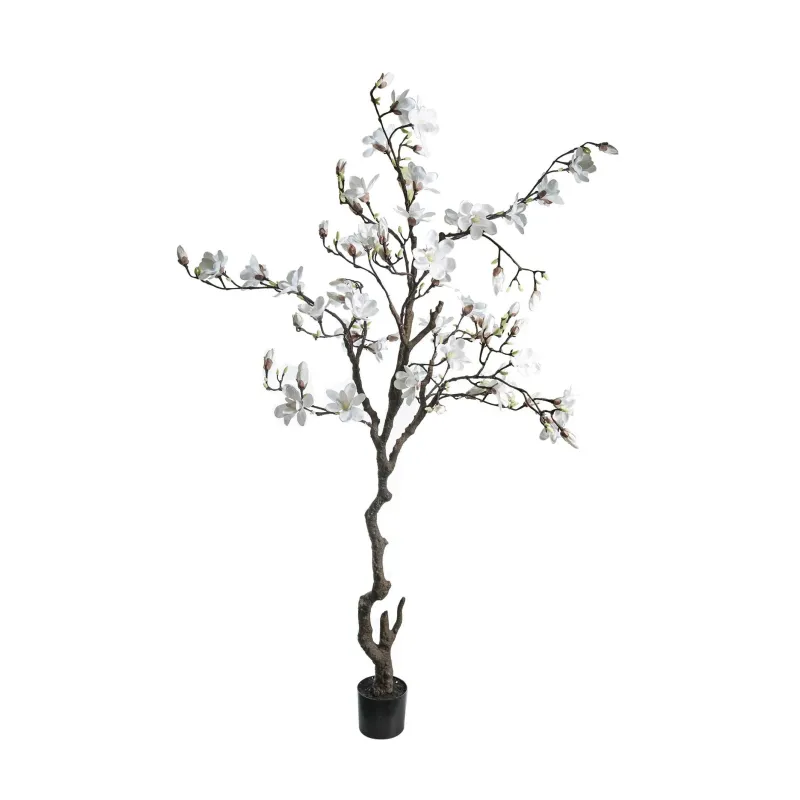 Planta de magnólia 210 cm branca