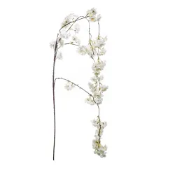 De tak van de perzik