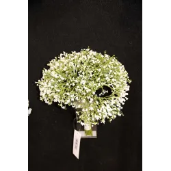 Ramo de lujo de Gypsophila