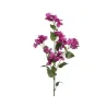 Bougainvillier cm 14 x 37 x 112