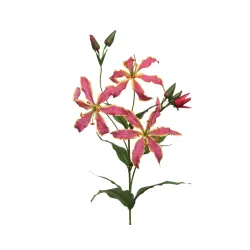 Fleur glorieuse avec tige 3 fleurs