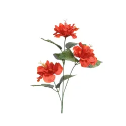 Sterlitzia flower with stem 3 x 15 x 81 cm