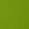 SILKY Tissue Paper Gr.20 Sheets Cm.70x100 Solid Color Colors (per Kg.) Green medio