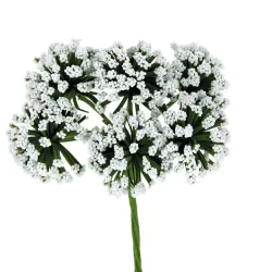 Flor Pom Pon pequeño blanco 36 piezas