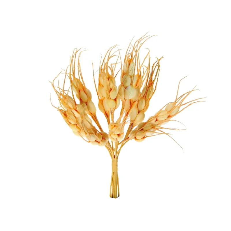 Kukuřičný klas na žlutém papíře