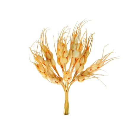 Ear of corn in yellow paper