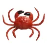 Rode krab 25 x 25 x 6 cm
