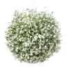Gypsophila sfär lyx cm 20