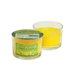 Citronellawas op glas, glas