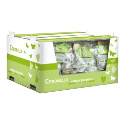 12 Citronela Tealight