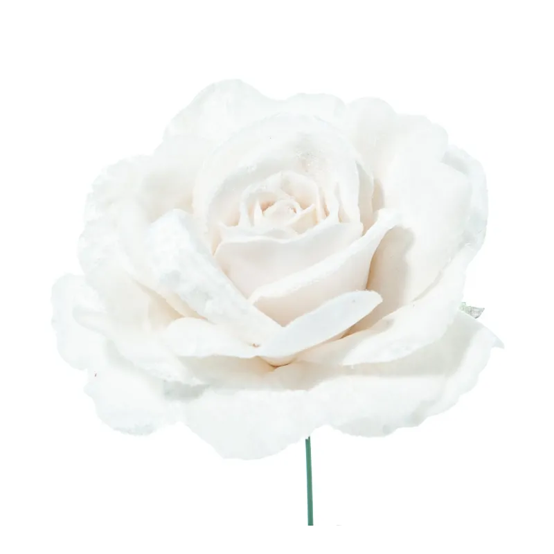 Pflücken Sie Pink und Snowy Pine