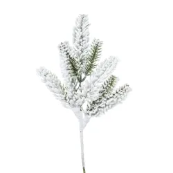 Branche de pin neigeux