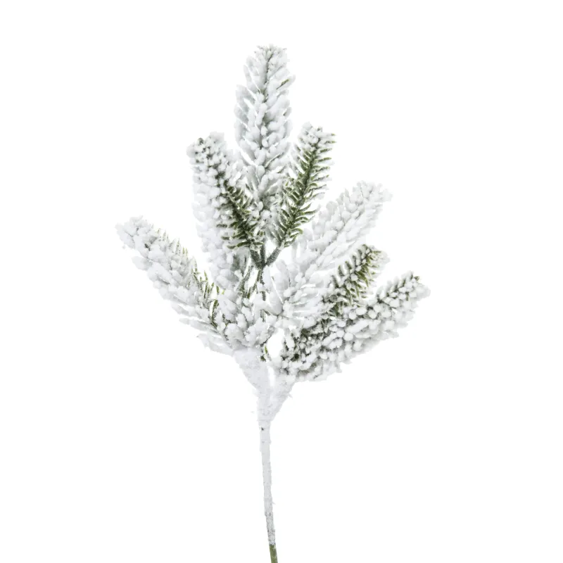 Branche de pin neigeux