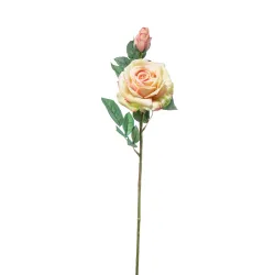 Rosa Tacto Natural cm 65