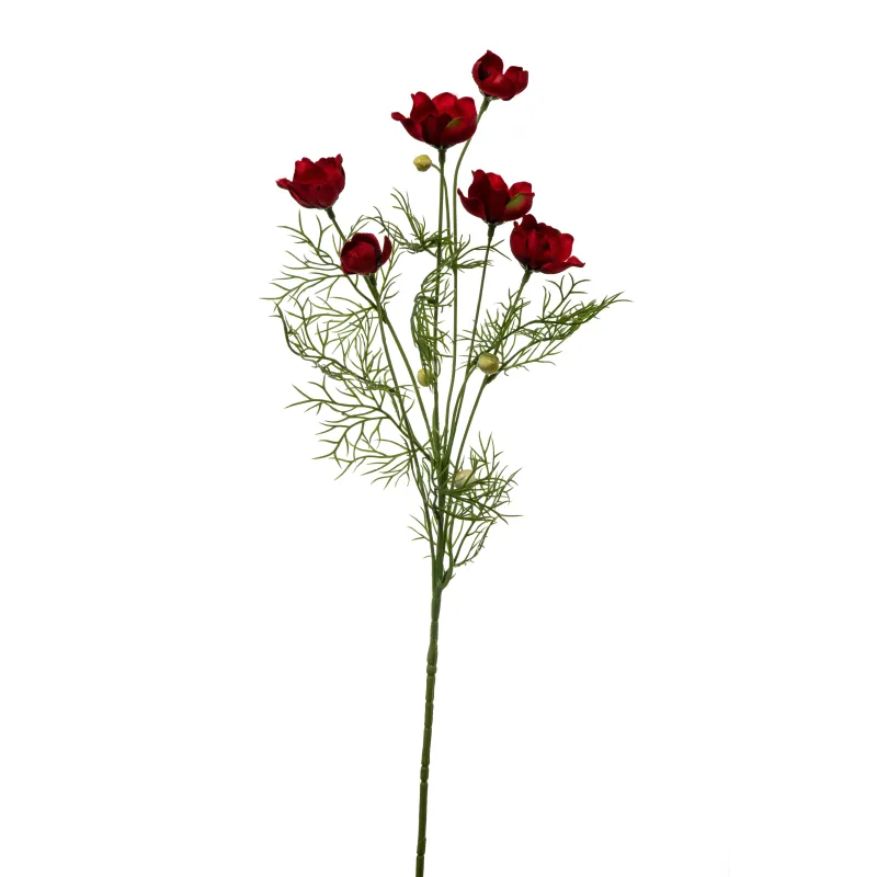 Bosje anemonen Cm 68