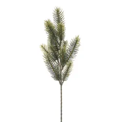 Sprig of Green Pine