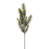 Sprig of Green Pine