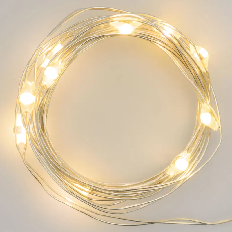Binnenverlichting 20 Miniled 2Mt Witte of Multicolor Zilveren Kabel