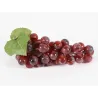 Grappe de raisin décorative cm 15
