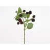 Raspberry Branch 40 cm