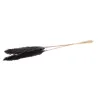 Pampas Lunghe 115 Cm