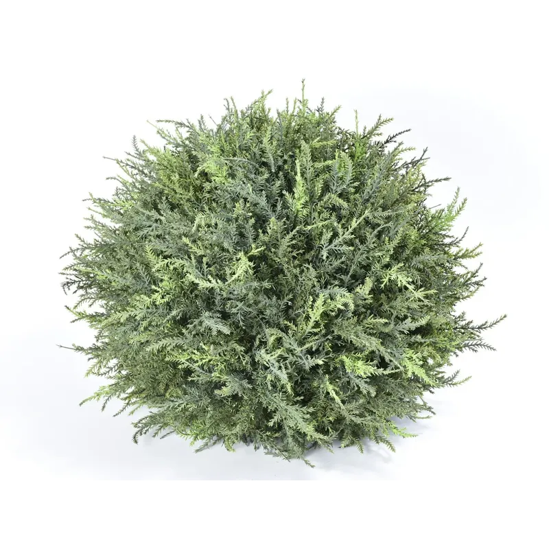 Boule de cyprès | ChartaRè