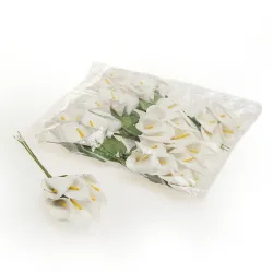 72 Calle Grandi in Pick