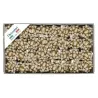 Glitter stars mm 20 pcs.36