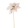 Deluxe Pink