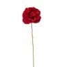 Rosa rossa
