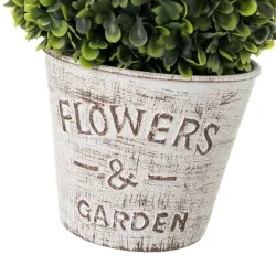 Buxus Bol met Vaas Cm 17x27