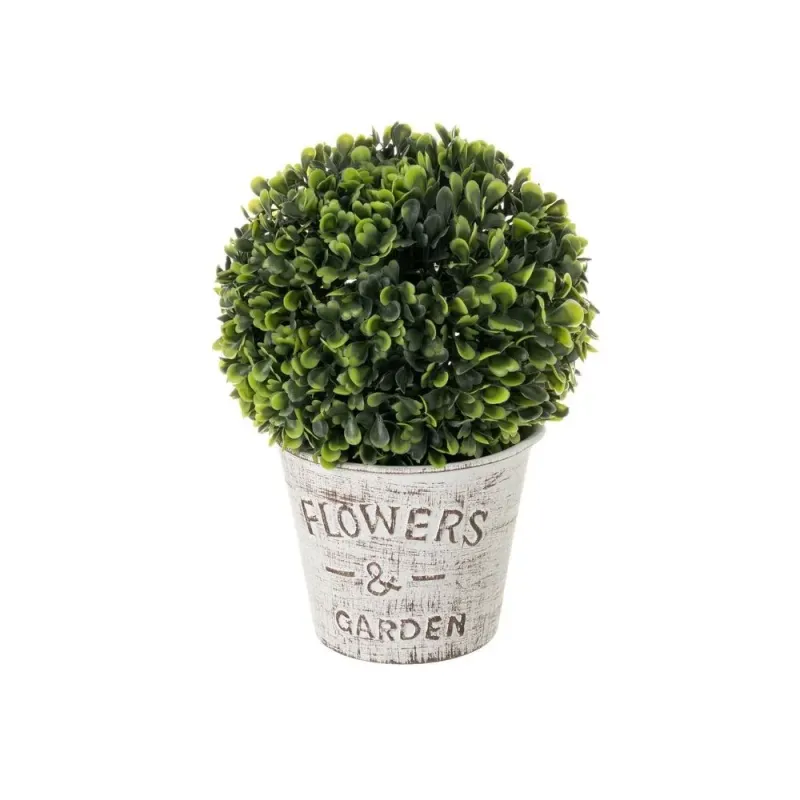 Buxus met vaas