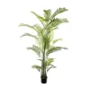 Areca Växt med 36 blad H 27 cm | ChartaRè