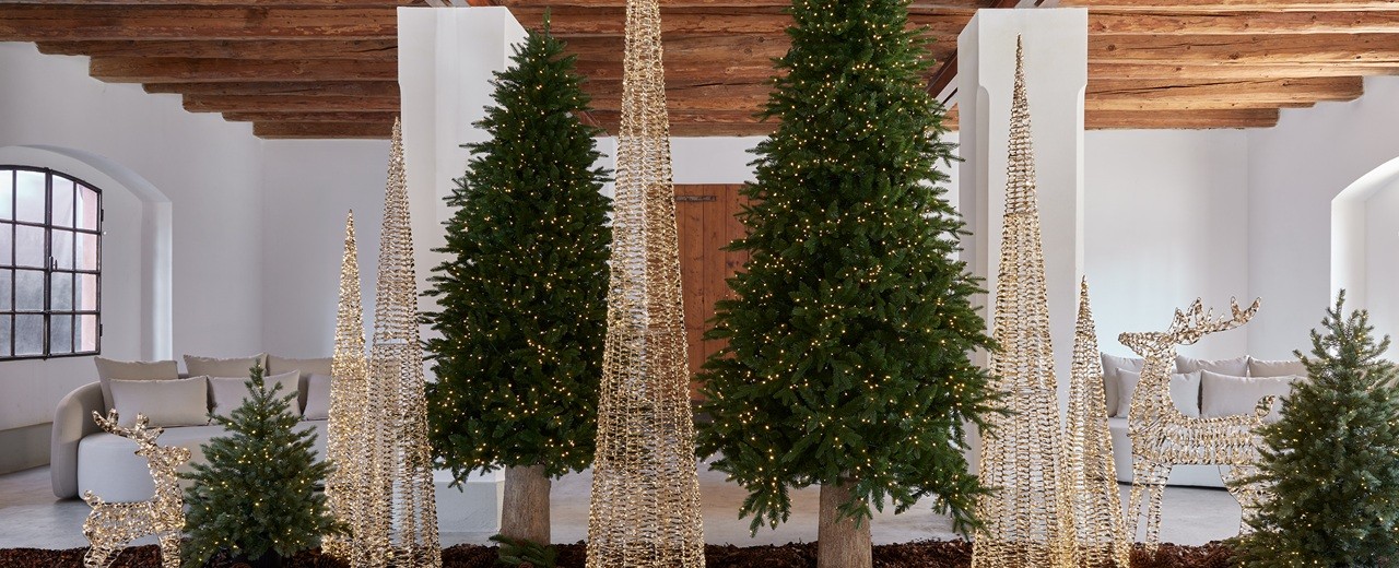 Perché esiste l’Albero di Natale. Origini, leggende e significati di un simbolo senza tempo.