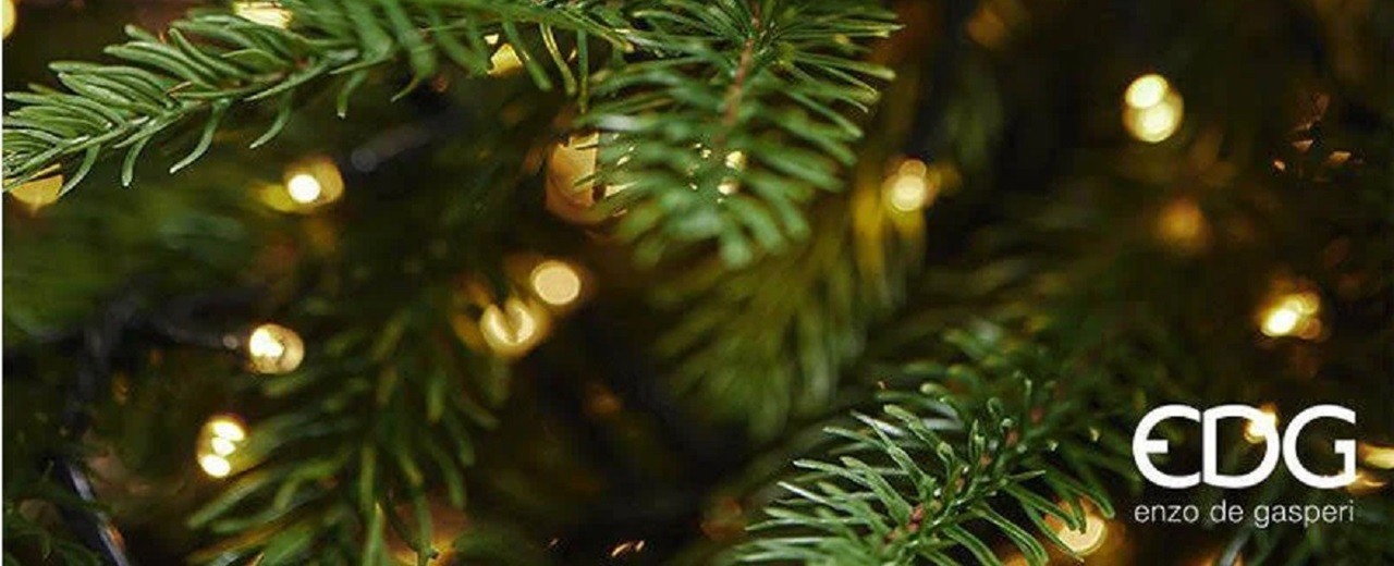 Perché Scegliere un albero di Natale EDG Enzo de Gasperi